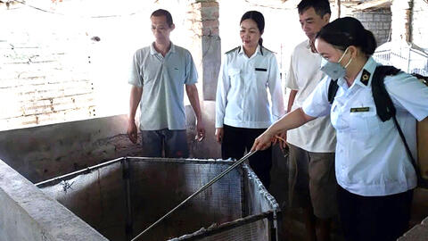 “Lá chắn” vững vàng trước dịch bệnh, chăn nuôi, nông dân, phòng, chống dịch,