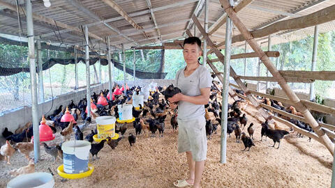 Ngọc Đường phát triển chăn nuôi theo hướng hàng hóa