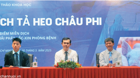 Đi tìm bản đồ miễn dịch cho ngành chăn nuôi