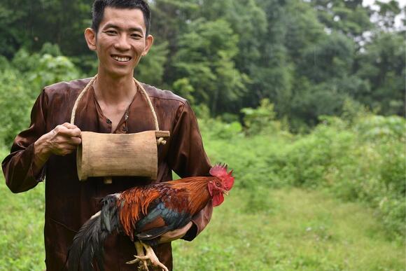 Người chăn gà du mục và ước mơ thay đổi hình ảnh nông dân Việt