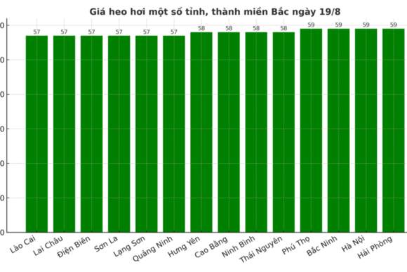 Giá heo hơi hôm nay 19/8/2025: Xuống mức 55.000 đồng/kg ở miền Trung
