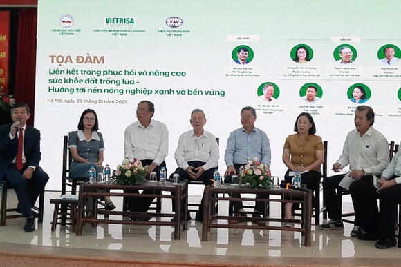 Đất lúa khỏe, chìa khóa nâng cao chất lượng và sức cạnh tranh gạo Việt