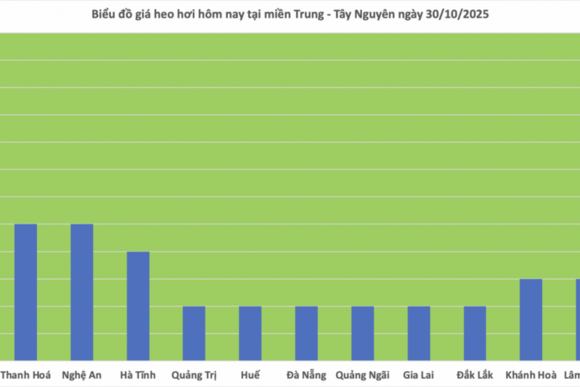 Giá heo hơi hôm nay 30/10/2025:  Giảm nhẹ tại miền Trung