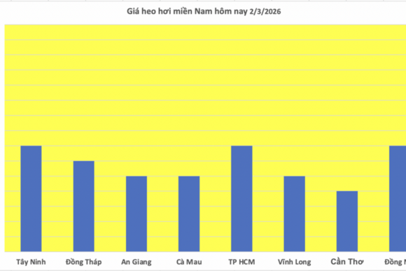 Giá heo hơi hôm nay 2/3/2026: Giữ đà bình ổn