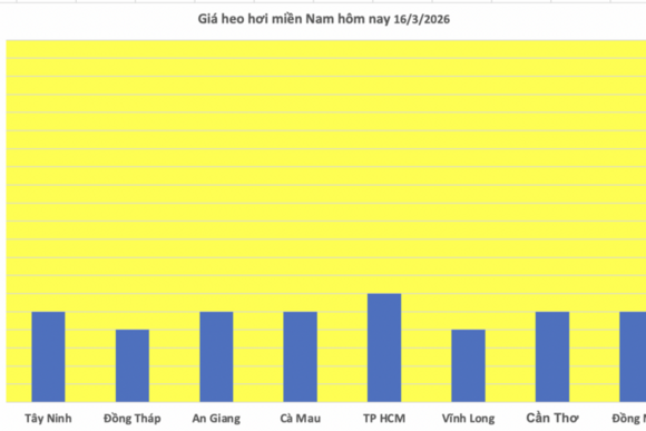 Giá heo hơi hôm nay 16/3/2026: Cao nhất đạt mốc 66.000 đồng/kg
