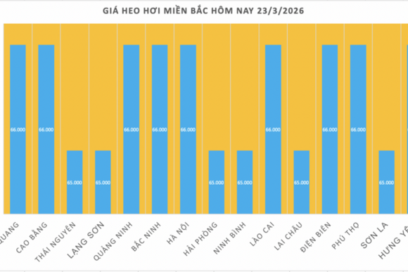 Giá heo hơi hôm nay 23/3/2026: Biến động trái chiều