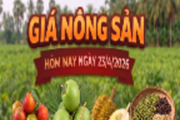 Giá nông sản hôm nay 23/4: Nhiều mặt hàng có xu hướng giảm mạnh