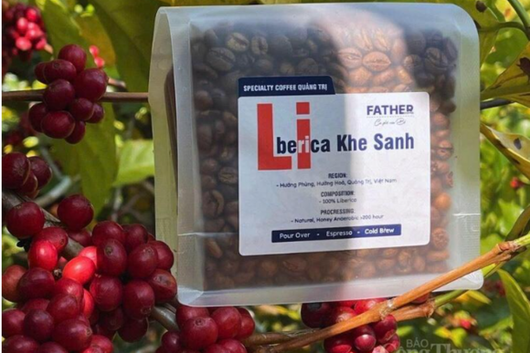 Cà phê Khe Sanh: Bản hành khúc trăm năm