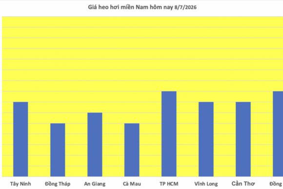 Giá heo hơi hôm nay 8/7/2026: Tạm chững, cao nhất 66.000 đồng/kg