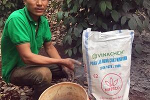 Bón phân lân nung chảy, NPK Ninh Bình cho hồ tiêu kinh doanh