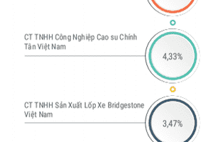Ngành Cao su Việt Nam năm 2017- Radial hóa tạo động lực cho sự tăng trưởng