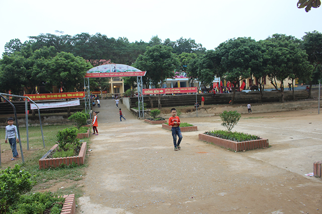 anh-xa-hoa-quy.JPG