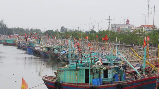 hai phong: hang nghin chien si giup dan thu hoach lua mua chay bao hinh anh 9
