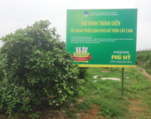 phan bón phú mỹ giup cay cam vinh sinh truong tot, dat hieu qua cao hinh anh 1