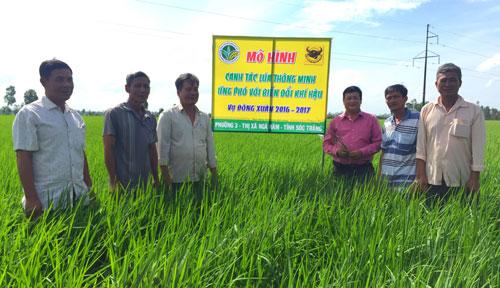 nhan rong mo hinh “canh tac lua thong minh” hinh anh 1