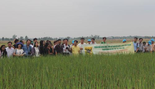 nhan rong mo hinh “canh tac lua thong minh” hinh anh 2