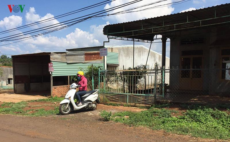 hoi-tieu-1.jpg