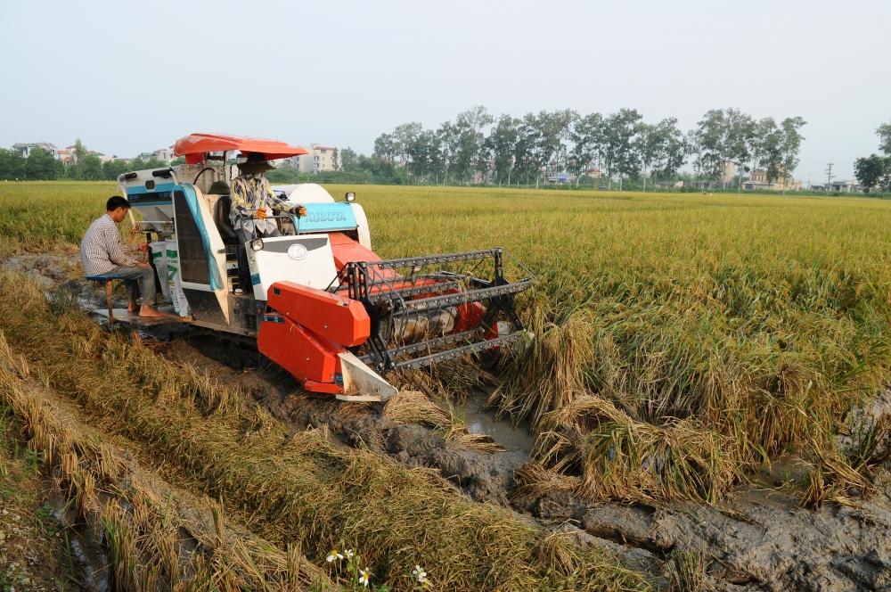 nong nghiep dat chin rong khoi sac voi tai co cau va ung dung 40