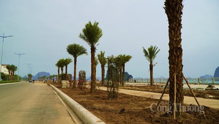 quang ninh day nhanh tien do cac du an trong diem