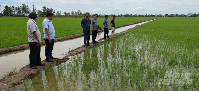 Đoàn kiểm tra do ông Phạm Thanh Hải (thứ 4 từ trái sang), Phó Giám đốc Sở NN-PTNT tỉnh Bạc Liêu, kiểm tra lúa vừa xuống giống hơn 3 tuần tại Phường Láng Tròn (TX Giá Rai). Ảnh: TL. 