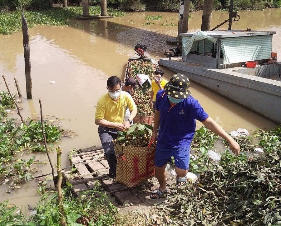 Tiêu thụ nông sản qua thương mại điện tử: Góp phần phục hồi kinh tế nông nghiệp trong đại dịch