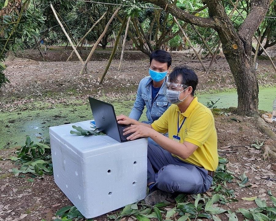 Tiêu thụ nông sản qua thương mại điện tử: Góp phần phục hồi kinh tế nông nghiệp trong đại dịch