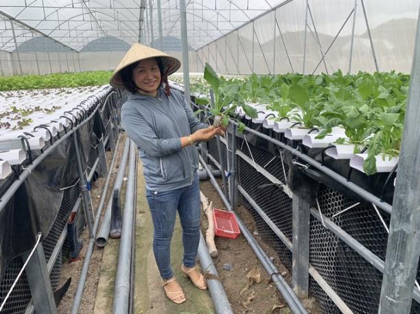 Khu nhà màng trồng rau thủy canh ở phía trên, kết hợp nuôi cá ở phía dưới của