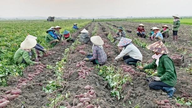 images3214734_hinh_11