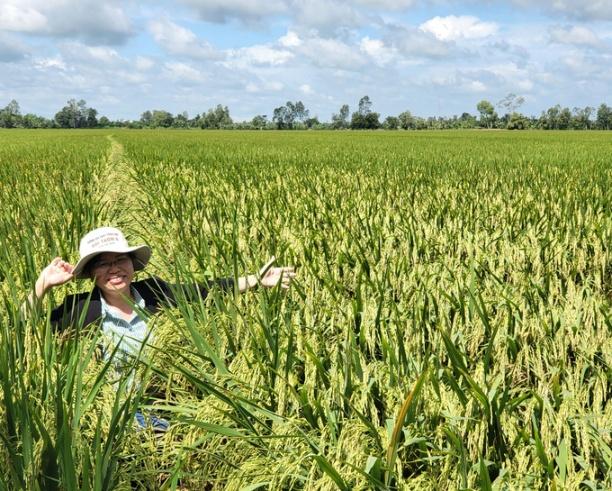 298834831_2226385557529539_3636113846153608546_n