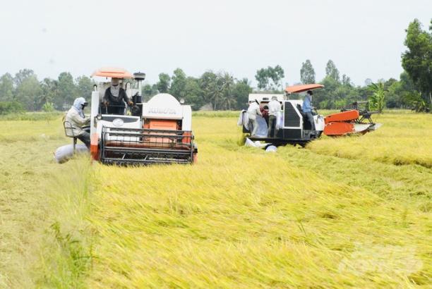Trong bức tranh tổng thể về kinh tế - xã hội của tỉnh An Giang năm 2023 có những điểm sáng và tín hiệu rất đáng mừng. Ảnh: Lê Hoàng Vũ.