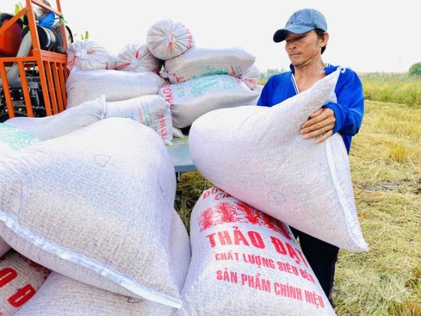 An Giang từng xé rào tạo ra đột phá từ tư duy kinh tế bao cấp sang kinh tế thị trường được Trung ương nhân rộng. Ảnh: Lê Hoàng Vũ.