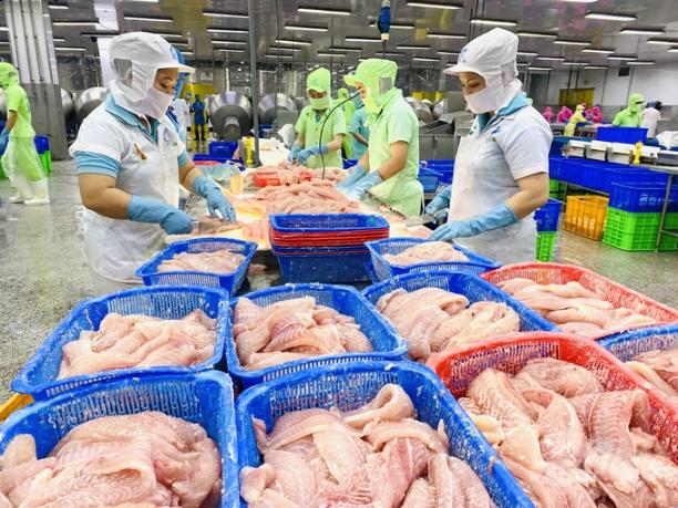 Dự báo mặt hàng gạo, thủy sản, rau quả vẫn là điểm sáng xuất khẩu của tỉnh An Giang trên thị trường thế giới trong năm nay. Ảnh: Lê Hoàng Vũ.