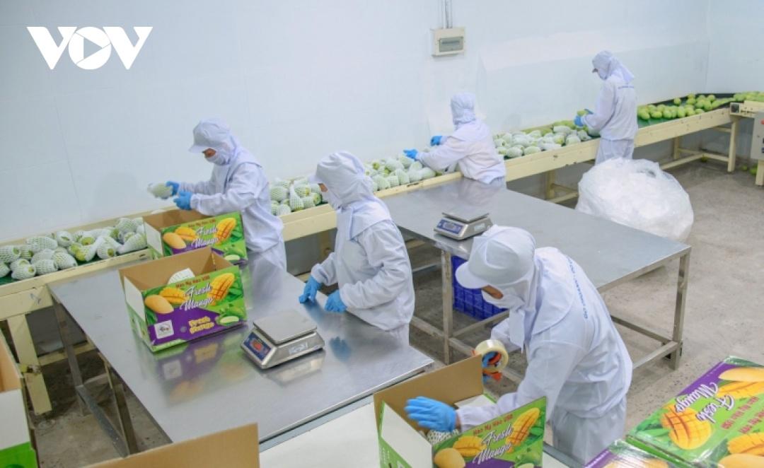 Mục tiêu tăng thu nhập cho người sản xuất, tăng giá trị xuất khẩu, thúc đẩy cơ cấu lại ngành nông nghiệp.