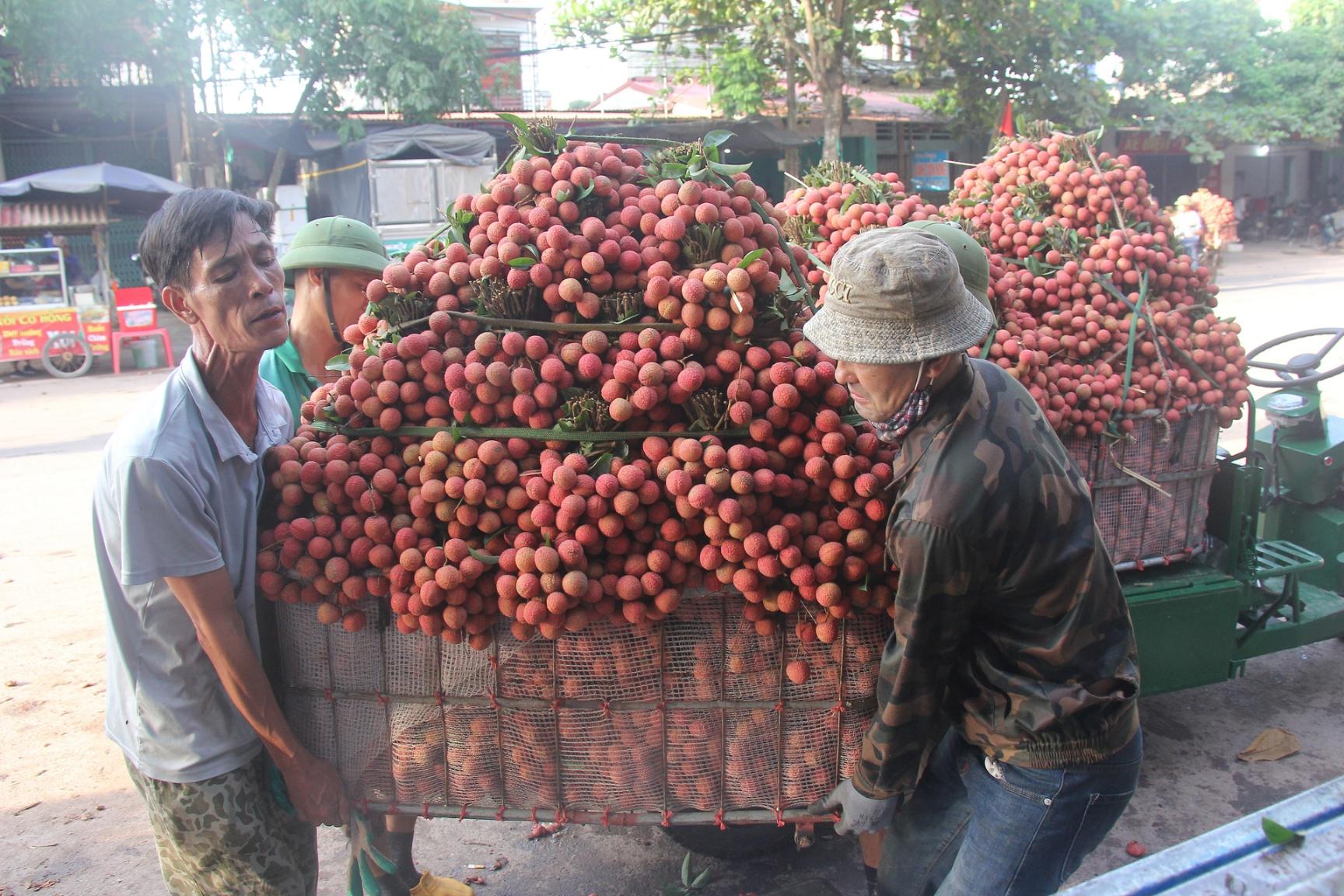Việc đa dạng các kênh phục vụ chế biến sâu đã giúp giảm áp lực cho tiêu thụ vải thiều quả tươi. Ảnh: Nguyễn Hưởng.