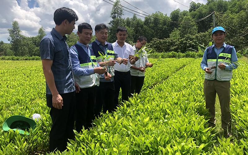 Hệ thống khuyến nông đồng hành, hỗ trợ nông dân ảnh 1