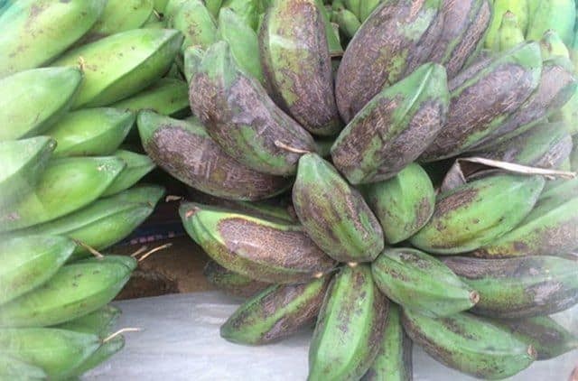 ảnh minh họa ảnh minh họa