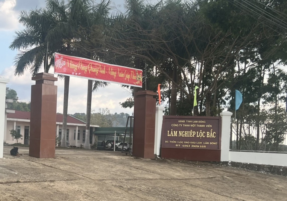 Lâm Đồng: Thu hồi đất, chấm dứt hoạt động dự án trồng cao su tại huyện Bảo Lâm Lâm Đồng: Thu hồi đất, chấm dứt hoạt động dự án trồng cao su tại huyện Bảo Lâm