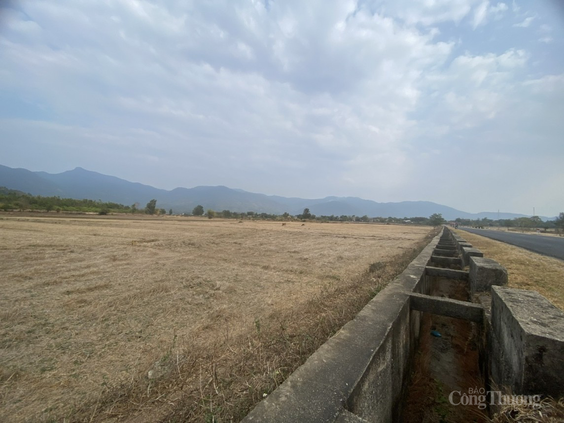 Đắk Nông: Các nhà máy thủy điện liên tục xả nước chống hạn cứu cây trồng Đắk Nông: Các nhà máy thủy điện liên tục xả nước chống hạn cứu cây trồng