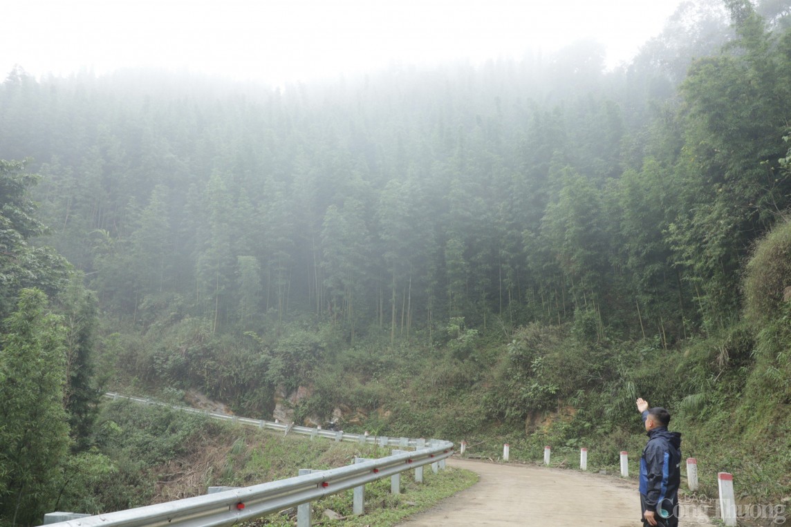 Hòa Bình: Cây thoát nghèo ở xã đặc biệt khó khăn Ngổ Luông Hòa Bình: Cây thoát nghèo ở xã đặc biệt khó khăn Ngổ Luông