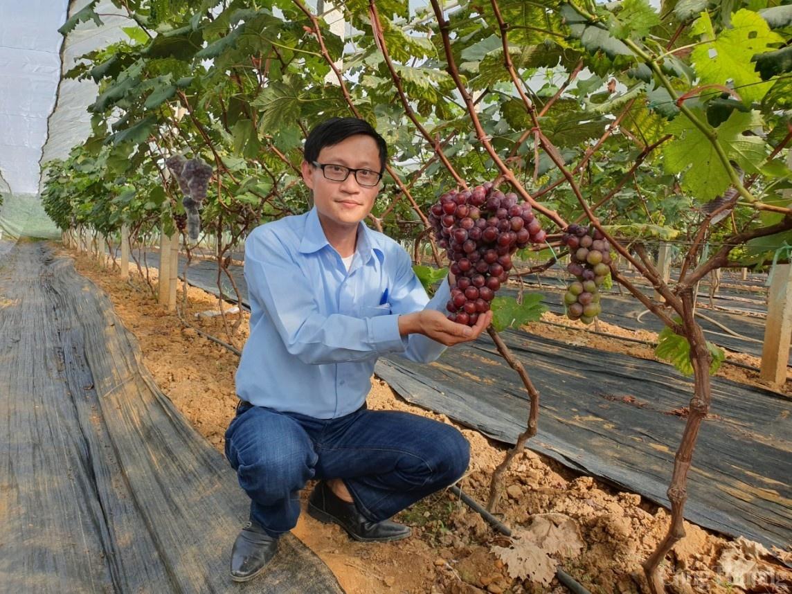 Người nông dân Hải Dương “làm giàu từ đất”, thành tỷ phú nhờ trồng nho Hạ Đen Người nông dân Hải Dương “làm giàu từ đất”, thành tỷ phú nhờ trồng nho Hạ Đen