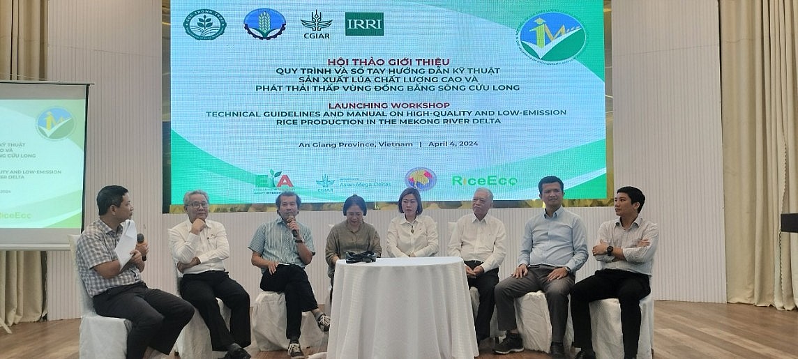 Bình Điền đồng hành cùng nông dân thực hiện đề án một triệu ha lúa chất lượng cao Bình Điền đồng hành cùng nông dân thực hiện đề án một triệu ha lúa chất lượng cao