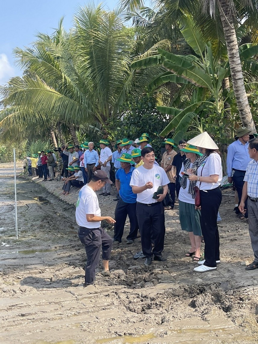 Bình Điền đồng hành cùng nông dân thực hiện đề án một triệu ha lúa chất lượng cao Bình Điền đồng hành cùng nông dân thực hiện đề án một triệu ha lúa chất lượng cao