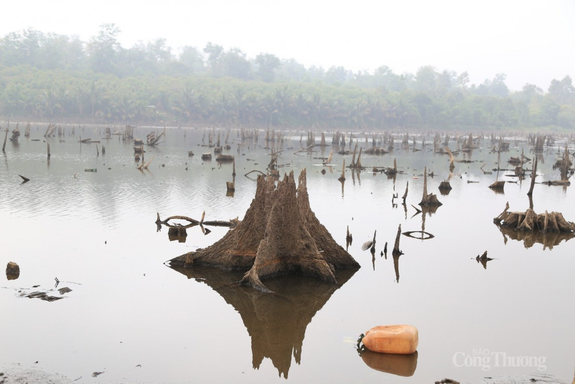 Đắk Nông: Hàng nghìn hecta cây trồng các loại thiếu nước tưới do bị ảnh hưởng bởi hạn hán Đắk Nông: Hàng nghìn hecta cây trồng các loại thiếu nước tưới do bị ảnh hưởng bởi hạn hán