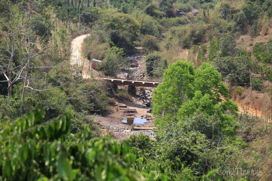 Đắk Nông: Hàng nghìn hecta cây trồng các loại thiếu nước tưới do bị ảnh hưởng bởi hạn hán Đắk Nông: Hàng nghìn hecta cây trồng các loại thiếu nước tưới do bị ảnh hưởng bởi hạn hán