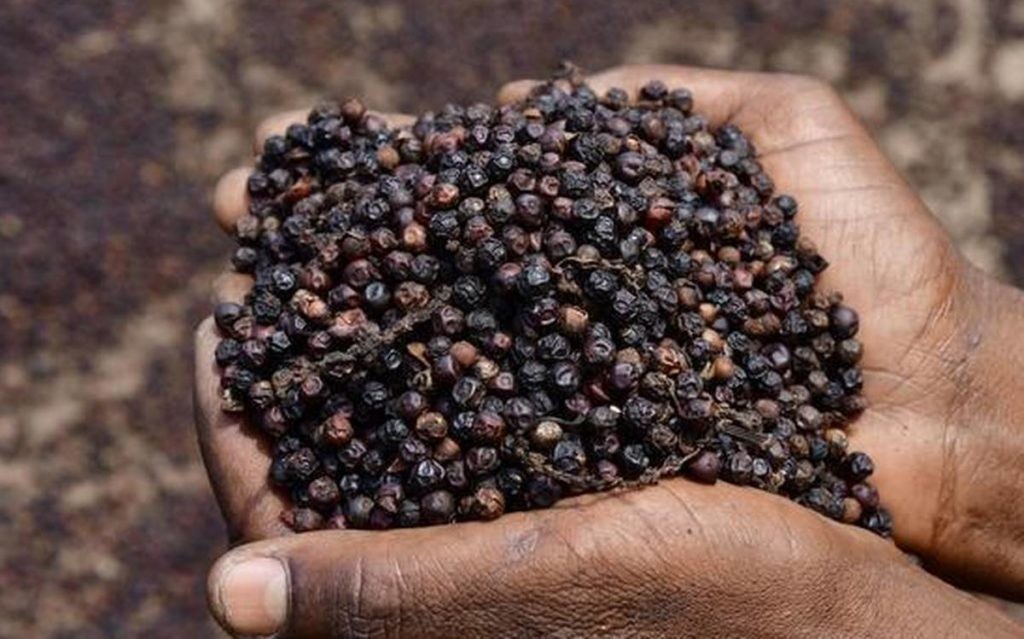 Giá nông sản hôm nay ngày 6/5: Sầu riêng ít trái, giá giảm;giá tiêu vượt cà phê tuần này còn tăng tiếp? Giá nông sản hôm nay ngày 6/5: Sầu riêng ít trái, giá giảm;giá tiêu vượt cà phê tuần này còn tăng tiếp?