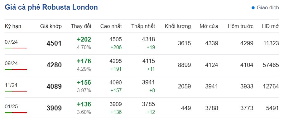 Giá cà phê hôm nay 25/6/2024: Giá cà phê hôm nay 25/6/2024: