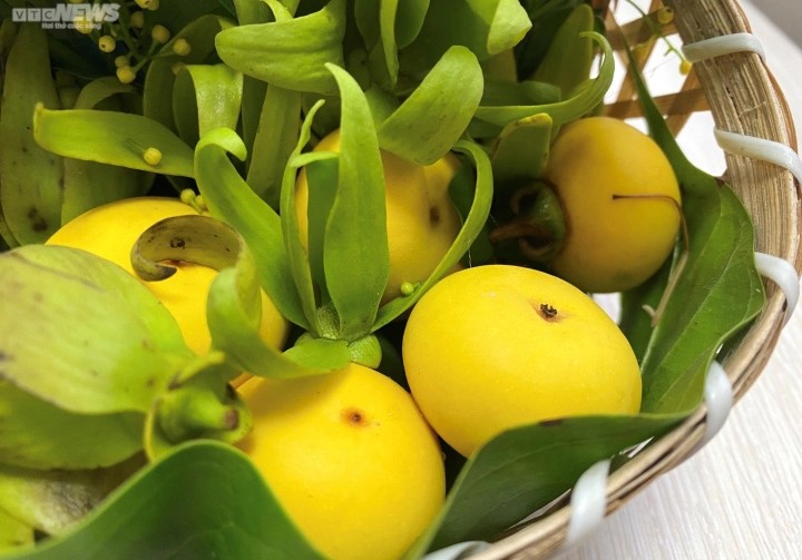 Giá nông sản hôm nay ngày 8/7/2024: Giá tiêu neo ở mức cao; thị sáp đầu mùa giá cao kỷ lục Giá nông sản hôm nay ngày 8/7/2024: Giá tiêu neo ở mức cao; thị sáp đầu mùa giá cao kỷ lục