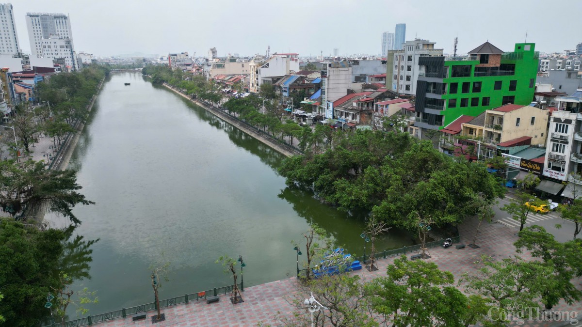 Hải Phòng hoàn thành trồng, dựng lại cây xanh bị gãy, đổ trên nhiều tuyến phố