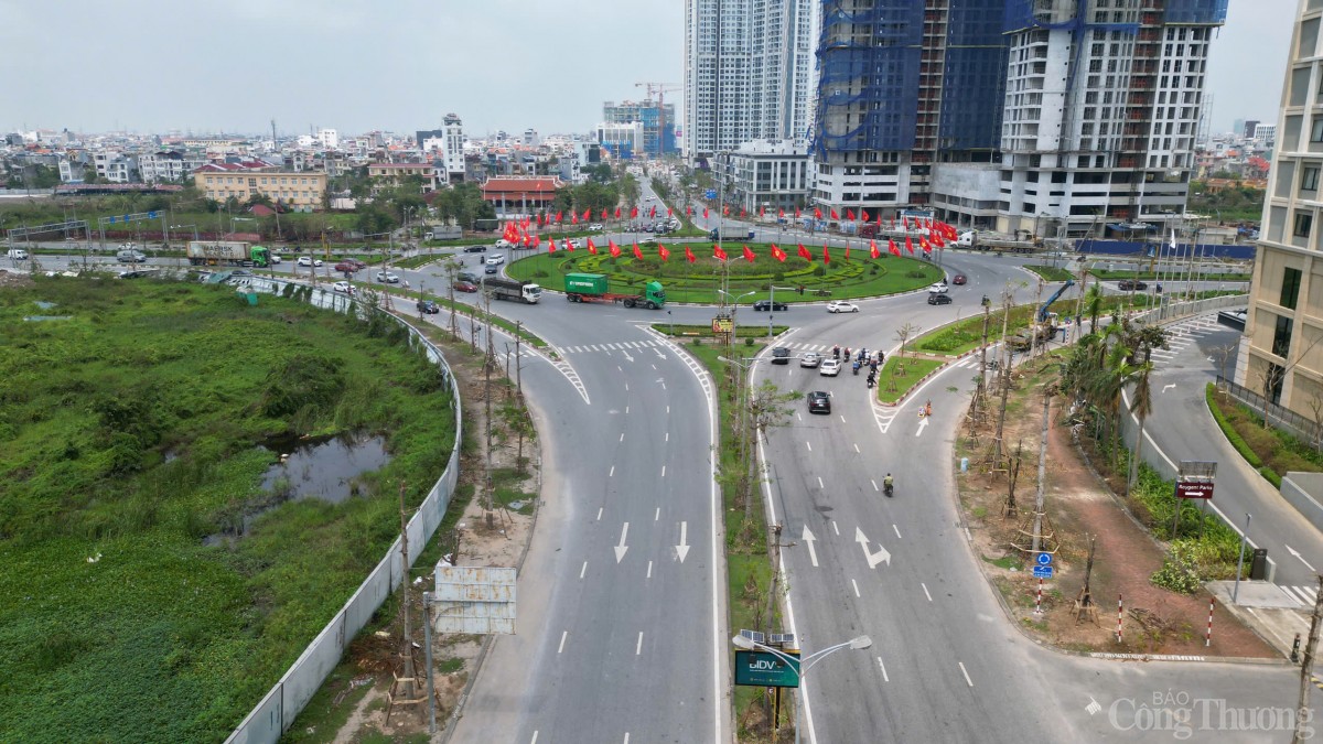 Hải Phòng hoàn thành trồng, dựng lại cây xanh bị gãy, đổ trên nhiều tuyến phố