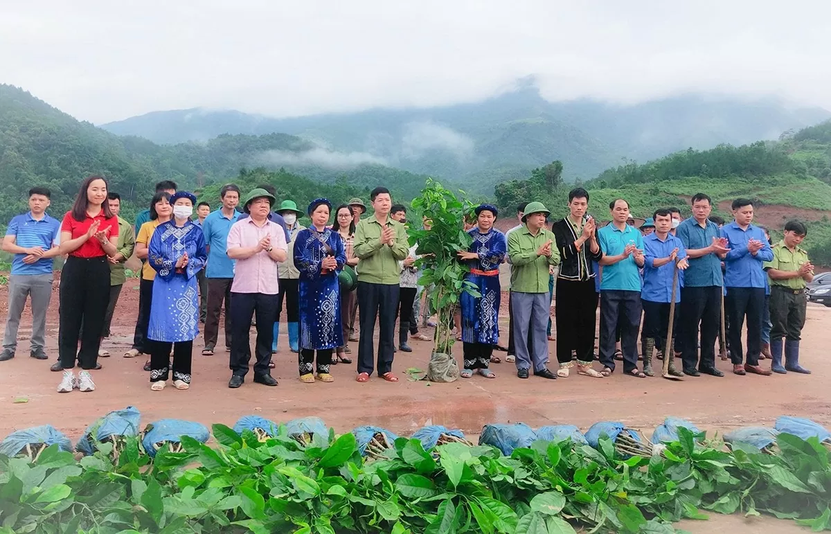 người dân địa phương đã tổ chức trồng cây gỗ lớn phân tán tại khu vực lòng hồ Khe Lừa, xã Lương Mông.